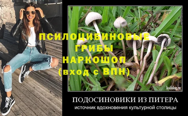дурь Киреевск
